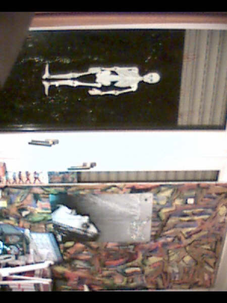 pic10.jpg