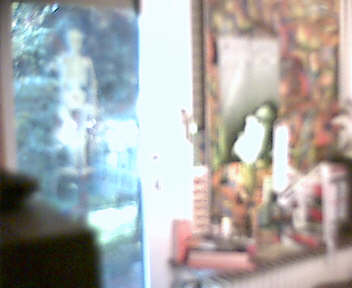 pic2.jpg