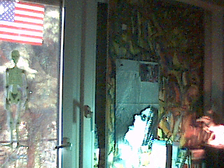 pic5.jpg