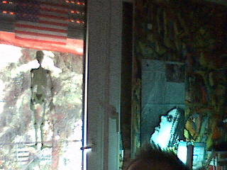 pic8.jpg